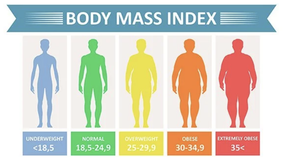 شاخص توده‌ بدنی – BMI چیست و چگونه محاسبه می شود؟